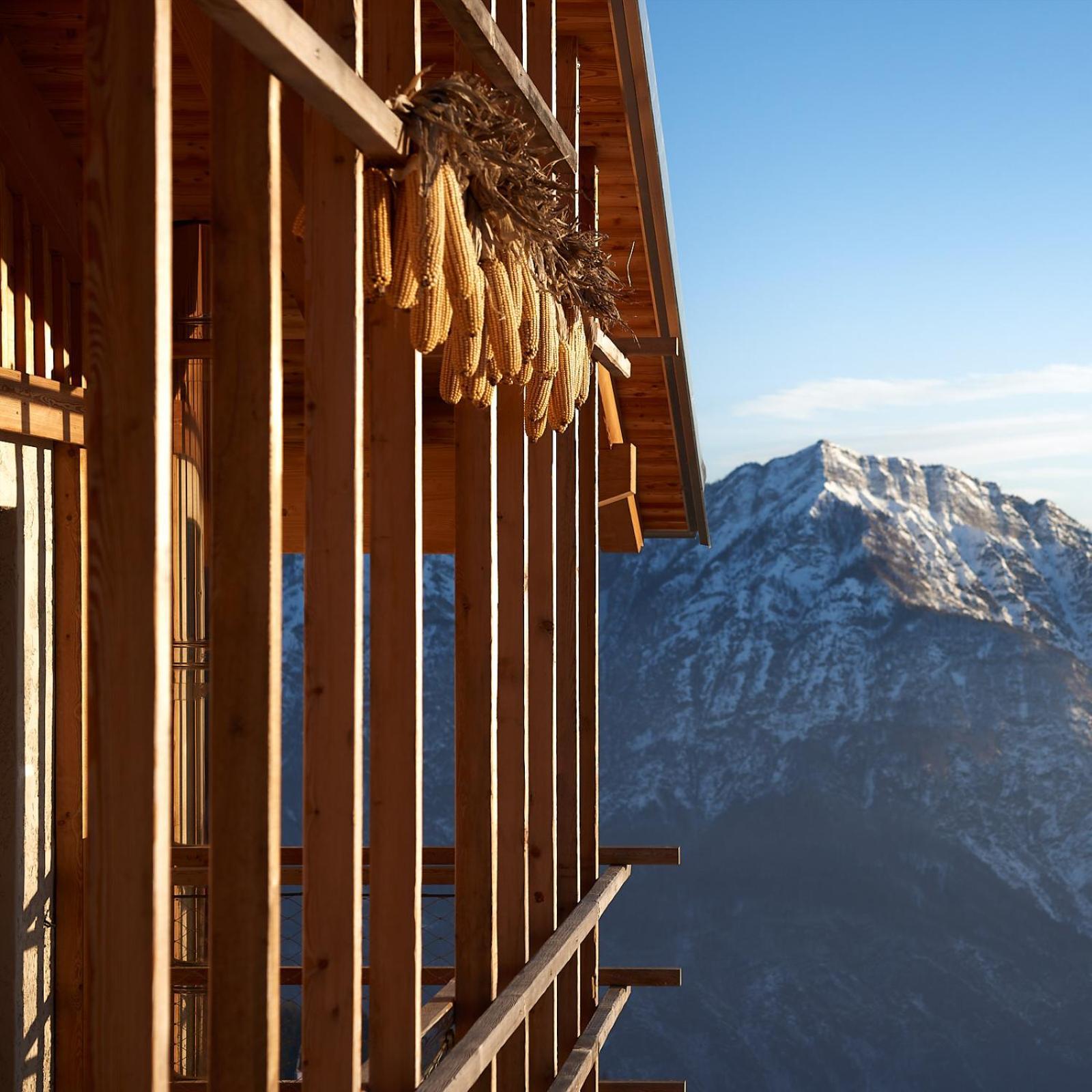 Nif: Alpine Taste Hotel Levico Terme Ngoại thất bức ảnh